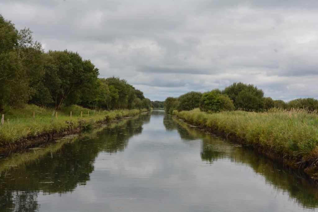 DSC_6332Mittel_.JPG